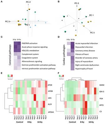 Data-Independent Acquisition Proteomics Reveals Long-Term Biomarkers in the Serum of C57BL/6J Mice Following Local High-Dose Heart Irradiation